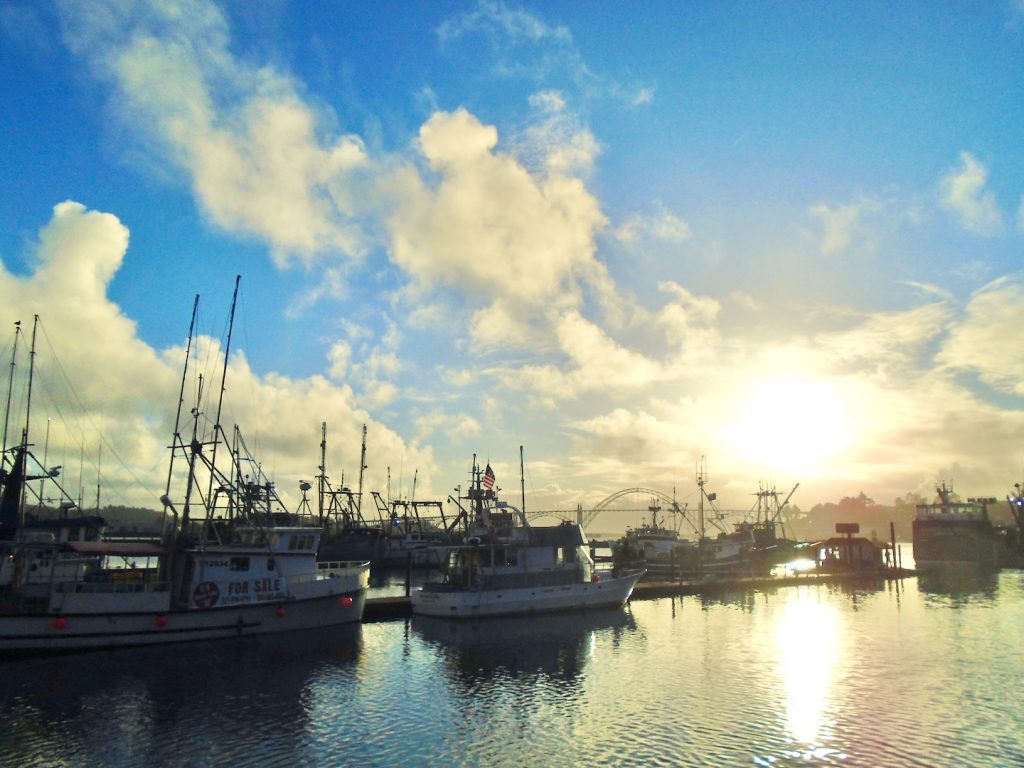 Fishing fleet on December 29, Newport, Oregon, © 2023 Eric J. Gleske